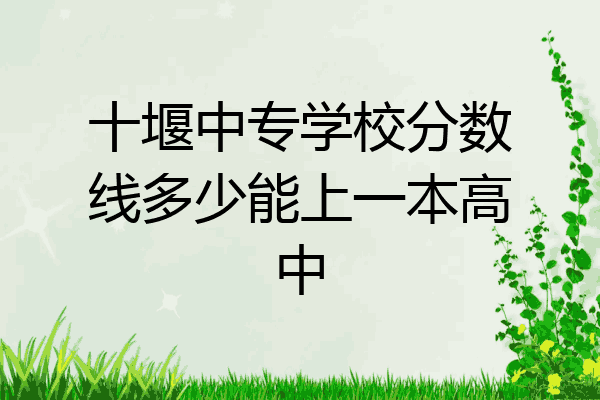 十堰中专学校分数线多少能上一本高中