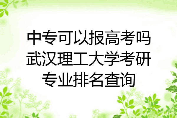中专可以报高考吗武汉理工大学考研专业排名查询