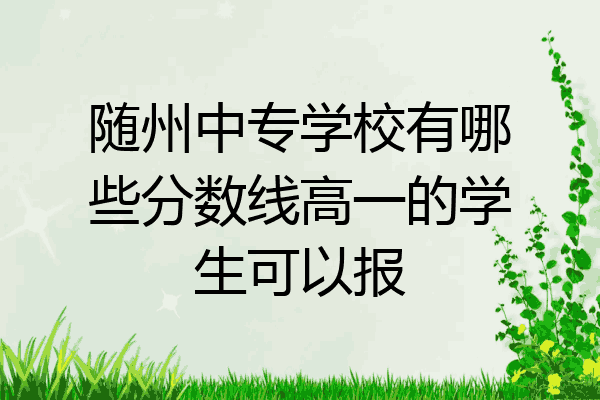 随州中专学校有哪些分数线高一的学生可以报