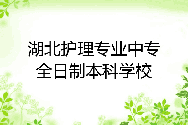 湖北护理专业中专全日制本科学校