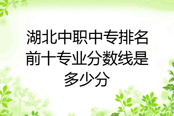 湖北中职中专排名前十专业分数线是多少分
