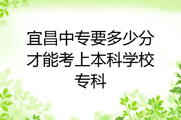 宜昌中专要多少分才能考上本科学校专科
