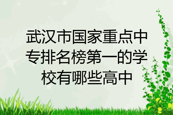 武汉市国家重点中专排名榜第一的学校有哪些高中