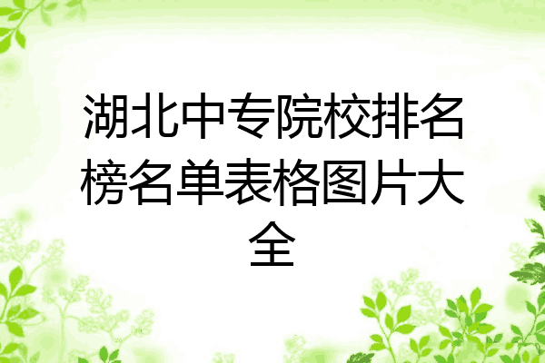 湖北中专院校排名榜名单表格图片大全
