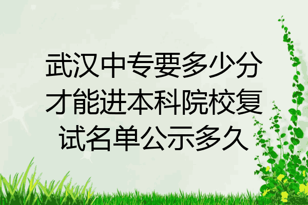武汉中专要多少分才能进本科院校复试名单公示多久