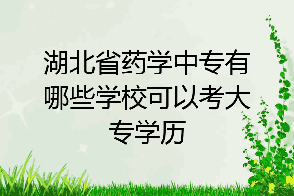 湖北省药学中专有哪些学校可以考大专学历