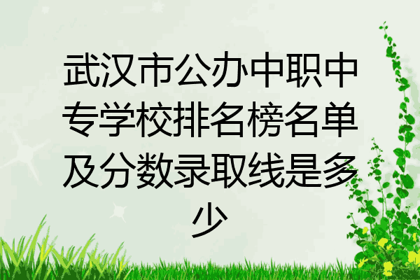 武汉市公办中职中专学校排名榜名单及分数录取线是多少