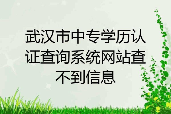 武汉市中专学历认证查询系统网站查不到信息