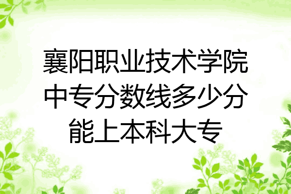 襄阳职业技术学院中专分数线多少分能上本科大专