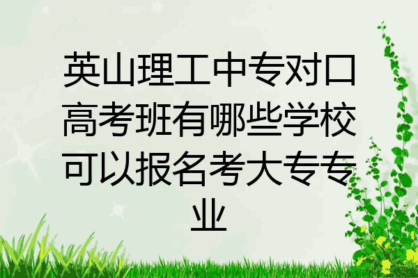 英山理工中专对口高考班有哪些学校可以报名考大专专业