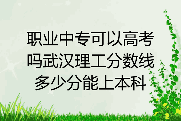 职业中专可以高考吗武汉理工分数线多少分能上本科