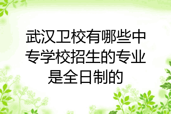 武汉卫校有哪些中专学校招生的专业是全日制的
