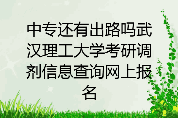 中专还有出路吗武汉理工大学考研调剂信息查询网上报名