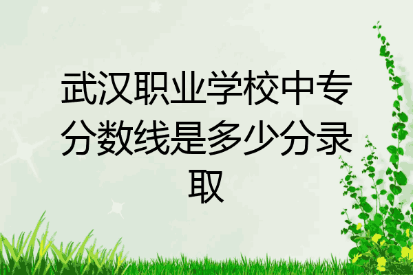 武汉职业学校中专分数线是多少分录取