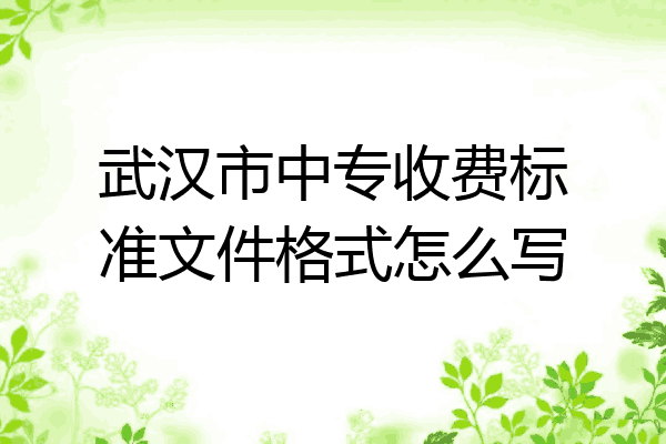 武汉市中专收费标准文件格式怎么写