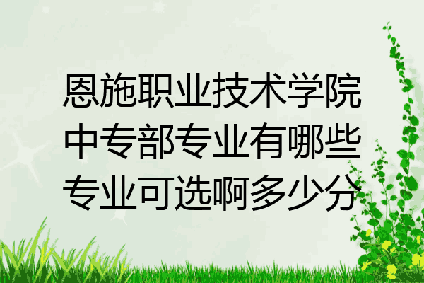 恩施职业技术学院中专部专业有哪些专业可选啊多少分
