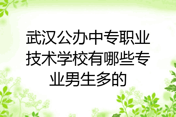 武汉公办中专职业技术学校有哪些专业男生多的