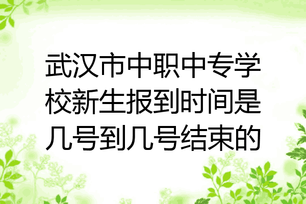 武汉市中职中专学校新生报到时间是几号到几号结束的