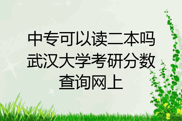 中专可以读二本吗武汉大学考研分数查询网上