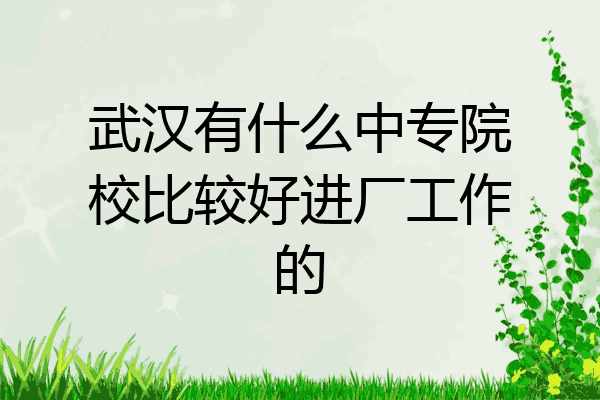 武汉有什么中专院校比较好进厂工作的