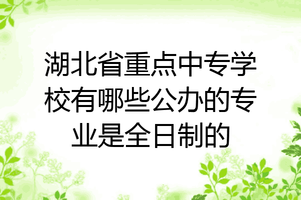 湖北省重点中专学校有哪些公办的专业是全日制的