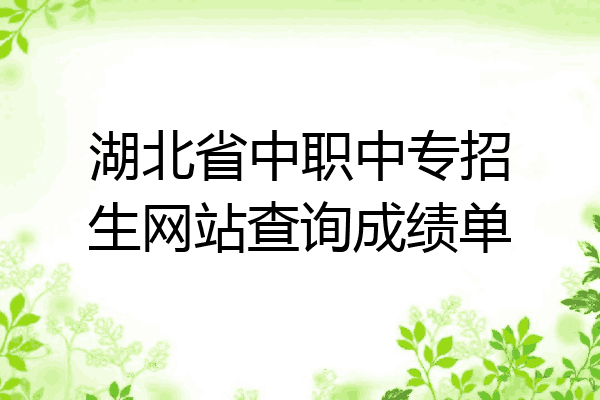 湖北省中职中专招生网站查询成绩单