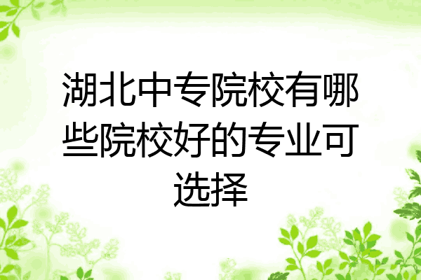 湖北中专院校有哪些院校好的专业可选择