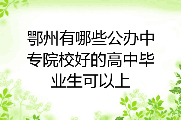 鄂州有哪些公办中专院校好的高中毕业生可以上
