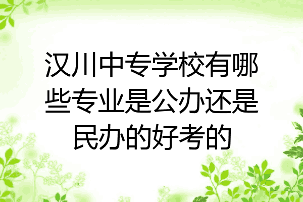 汉川中专学校有哪些专业是公办还是民办的好考的
