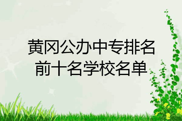 黄冈公办中专排名前十名学校名单