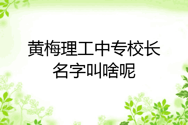 黄梅理工中专校长名字叫啥呢