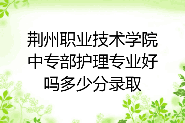 荆州职业技术学院中专部护理专业好吗多少分录取