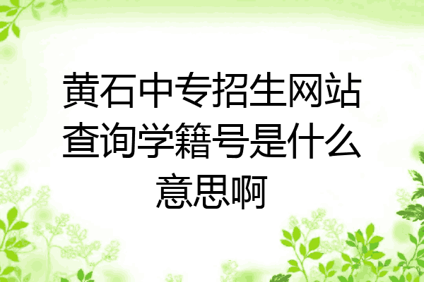 黄石中专招生网站查询学籍号是什么意思啊