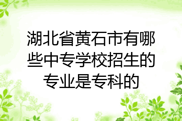 湖北省黄石市有哪些中专学校招生的专业是专科的