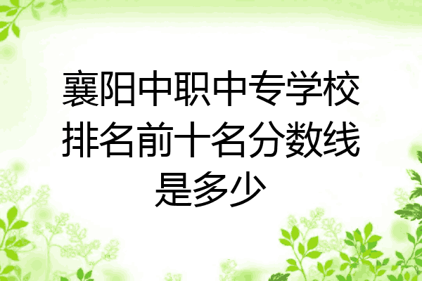 襄阳中职中专学校排名前十名分数线是多少
