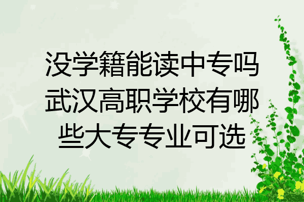 没学籍能读中专吗武汉高职学校有哪些大专专业可选