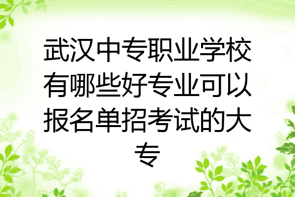 武汉中专职业学校有哪些好专业可以报名单招考试的大专