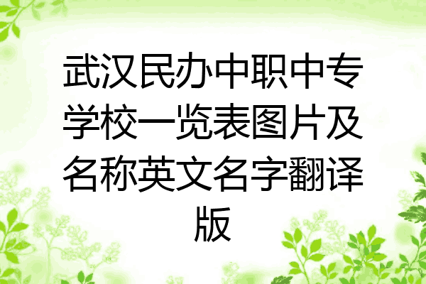 武汉民办中职中专学校一览表图片及名称英文名字翻译版