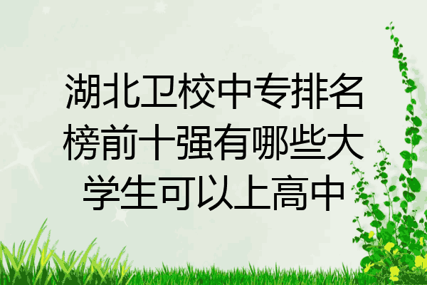 湖北卫校中专排名榜前十强有哪些大学生可以上高中