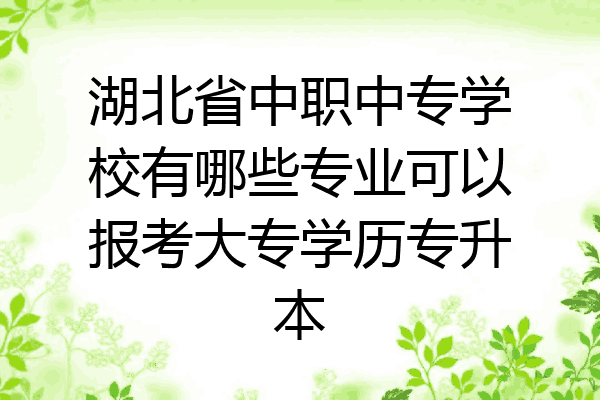 湖北省中职中专学校有哪些专业可以报考大专学历专升本