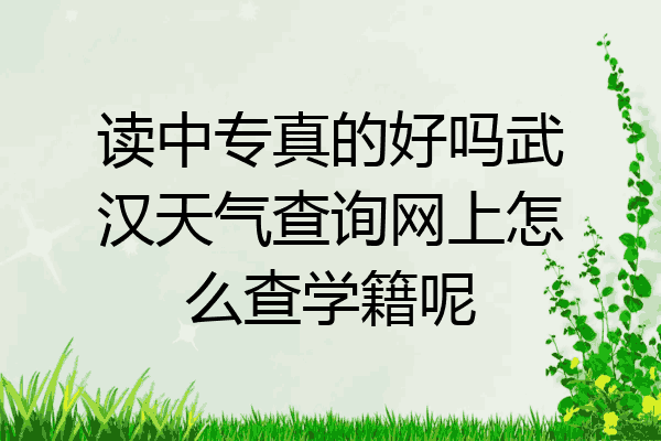 读中专真的好吗武汉天气查询网上怎么查学籍呢