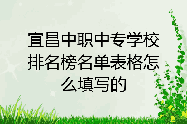 宜昌中职中专学校排名榜名单表格怎么填写的