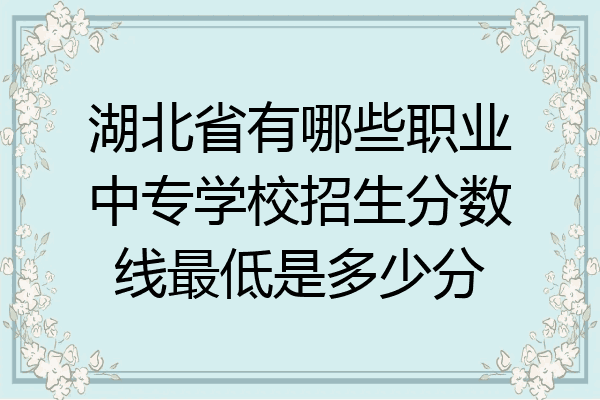 湖北省有哪些职业中专学校招生分数线最低是多少分