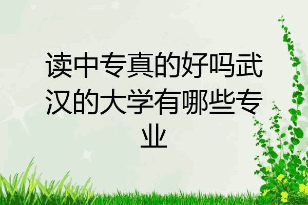 读中专真的好吗武汉的大学有哪些专业