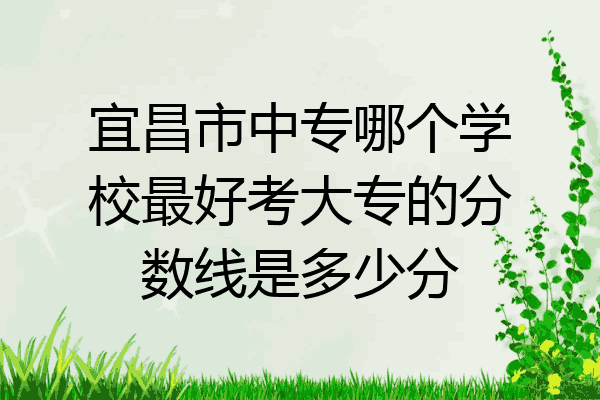 宜昌市中专哪个学校最好考大专的分数线是多少分