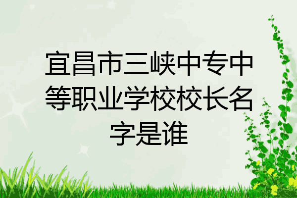 宜昌市三峡中专中等职业学校校长名字是谁