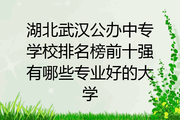 湖北武汉公办中专学校排名榜前十强有哪些专业好的大学