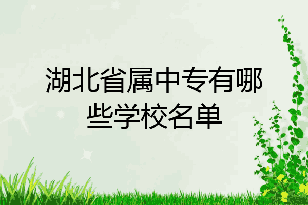 湖北省属中专有哪些学校名单