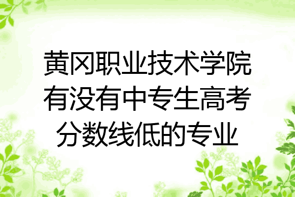 黄冈职业技术学院有没有中专生高考分数线低的专业