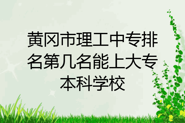 黄冈市理工中专排名第几名能上大专本科学校